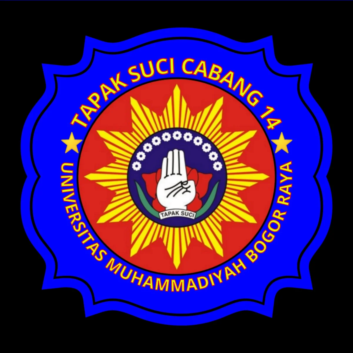 Tapak Suci Putera Muhammadiyah Cabang 14